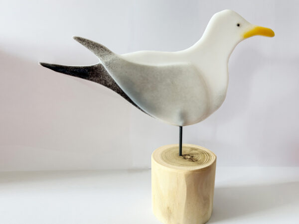 Möwe auf Roller groß